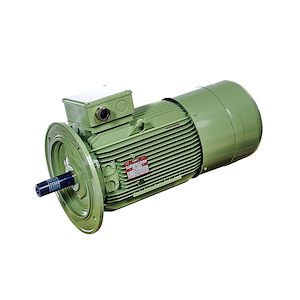 گرند موتور ( معصومی ) قیمت الکتروموتور فیرمت Fimet